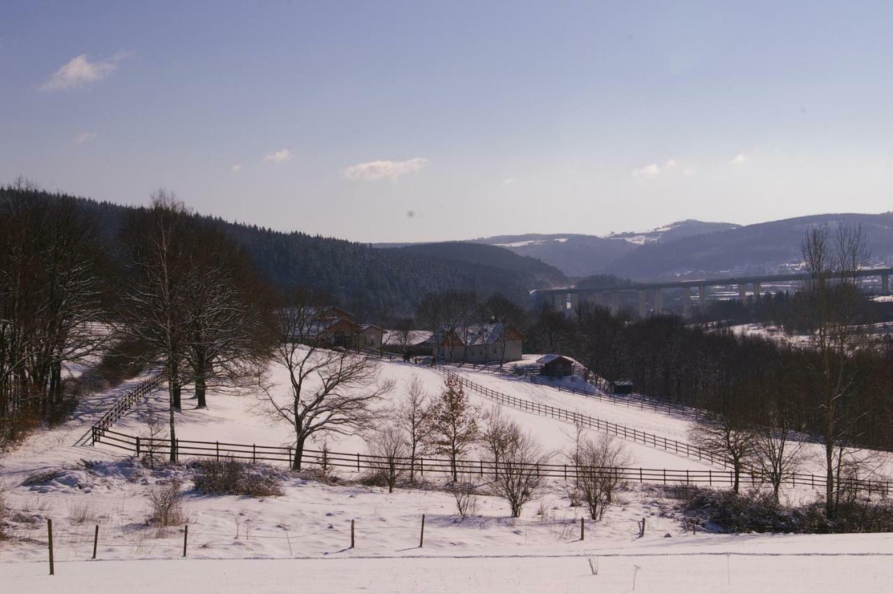Reiterhof Und Pension Eichenhof Haiger Esterno foto